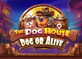 The Dog House - Dog or Alive - TITANBET138