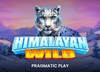 Himalayan Wild - TITANBET138