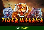 Tiger Warrior - TITANBET138