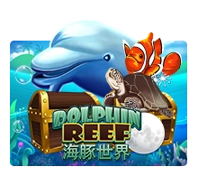 Dolphin Reef - TITANBET138